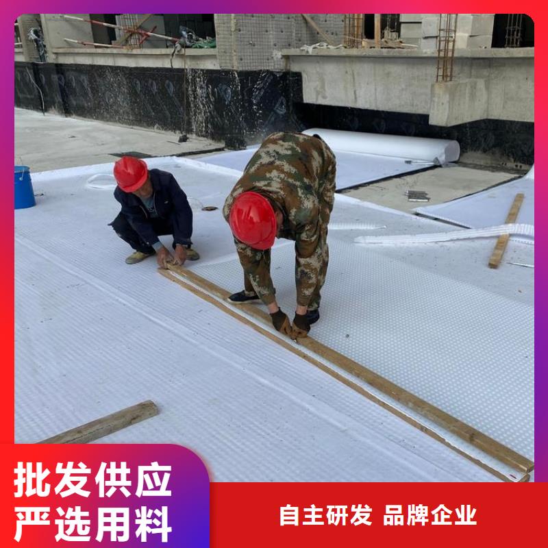 疏水板-施工指导源厂直销
