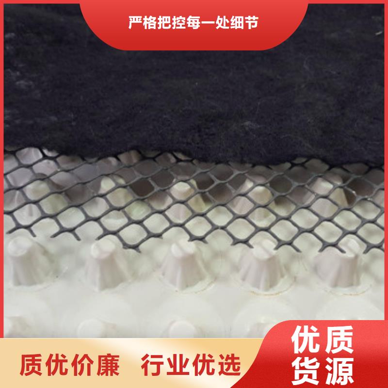 新闻：高分子防护排水异形片@厂家资讯当地生产商