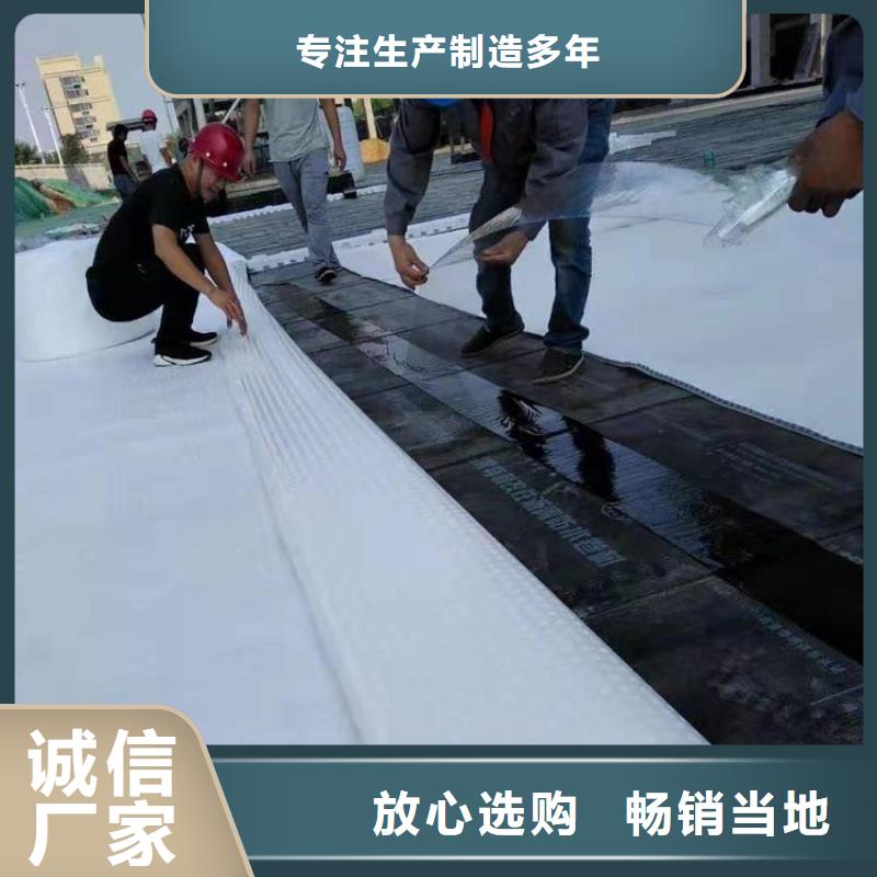 塑料疏水板-两分钟前更新同城厂家