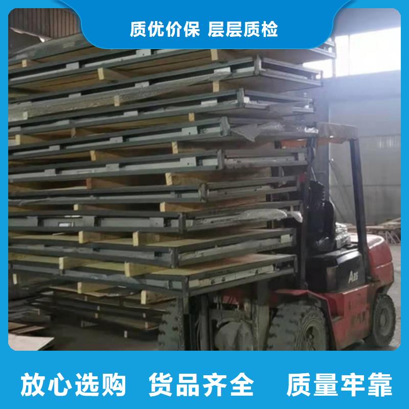 电动平移铅门现场测量现货充足量大优惠