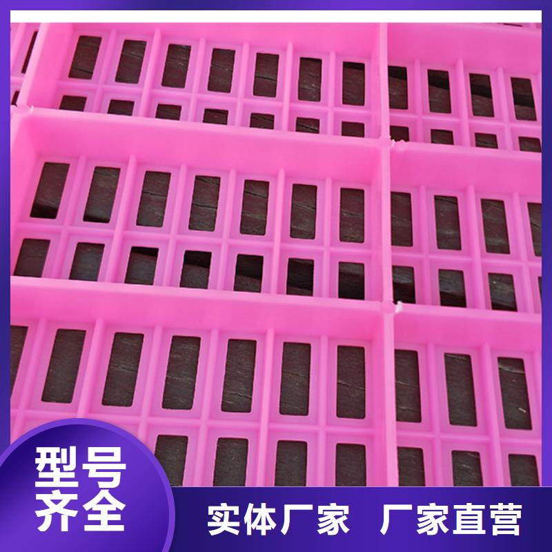 批发塑料垫板图片与价格_诚信厂家海量库存