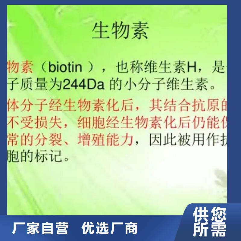 维生素H参数同城公司