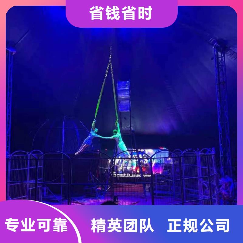 鳄鱼表演出租创意方案品质卓越