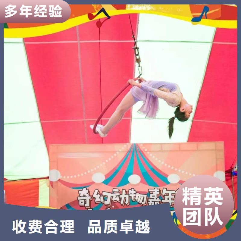 动物羊驼租赁正规公司同城品牌