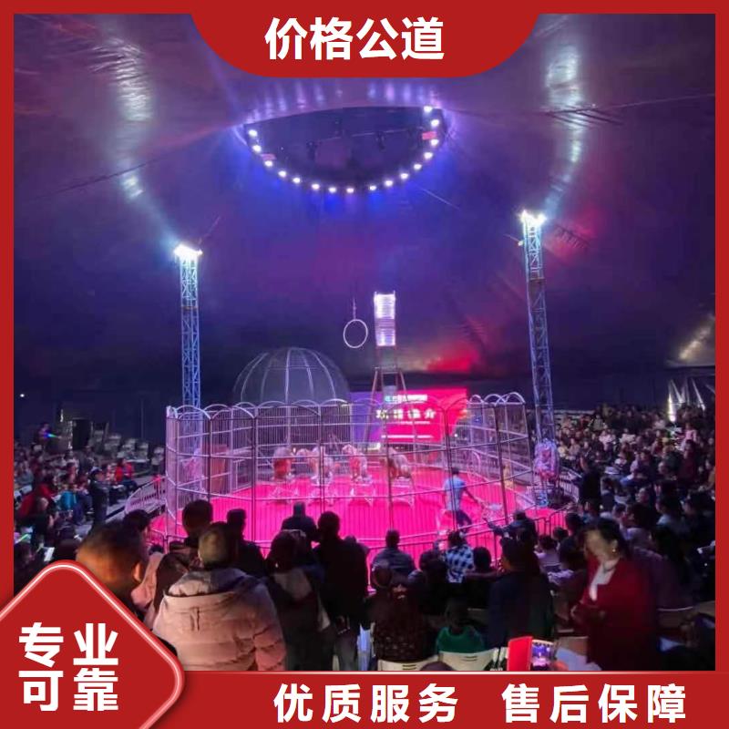 羊驼租赁从业经验丰富