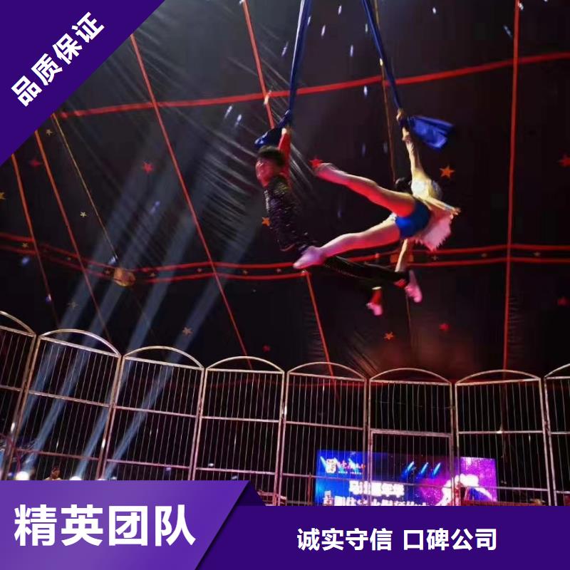 马戏团表演出租正规公司技术比较好