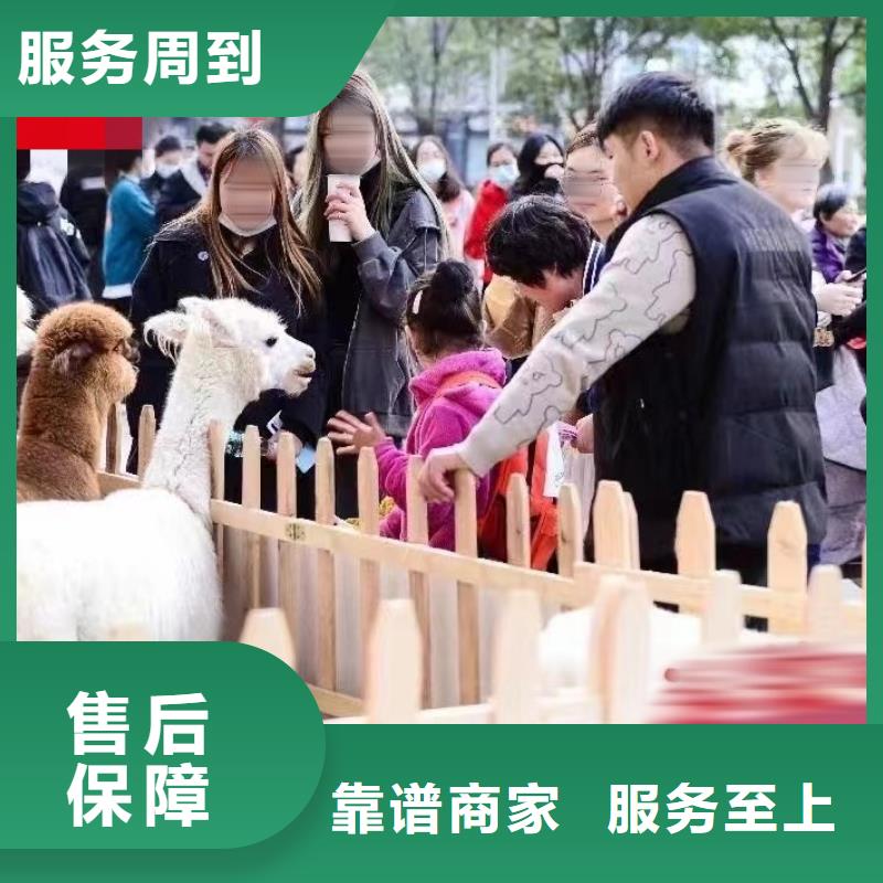 动物展出租同城供应商