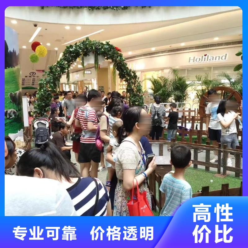 哪有出租羊驼的暖场活动价格低于同行