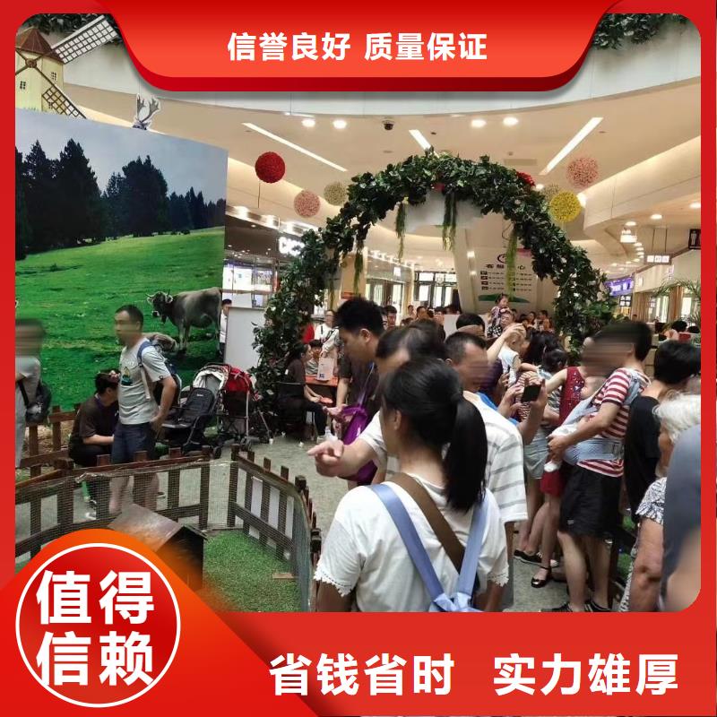 动物出租货源充足良好口碑