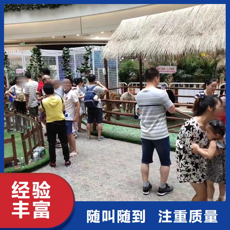 萌宠展租赁创意方案当地服务商