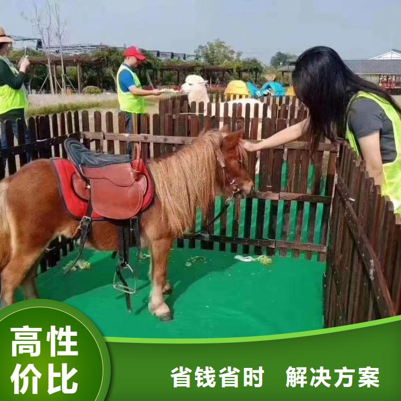 马戏团表演租赁一手资源本地经销商