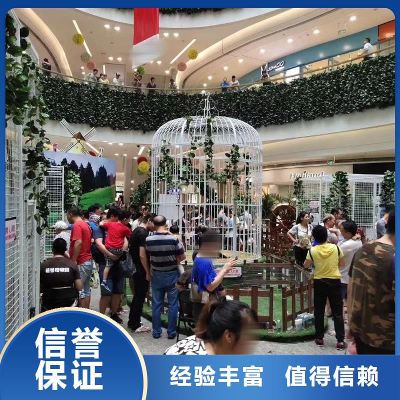 哪有羊驼出租联系方式当地厂家