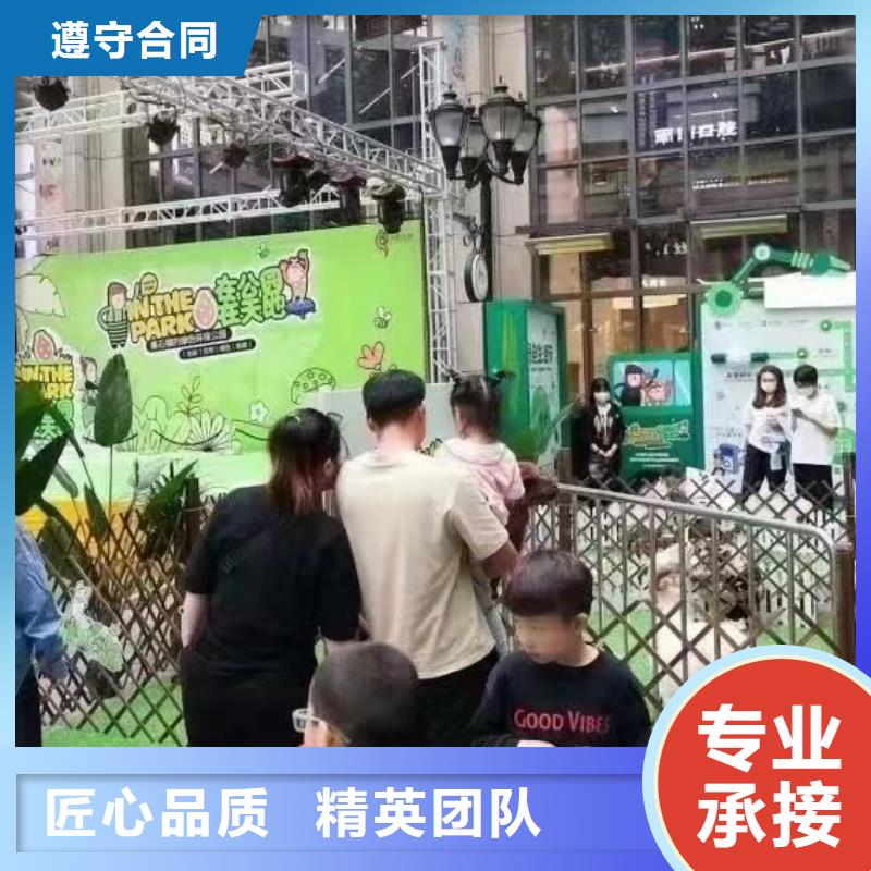 动物表演租赁创意方案服务至上