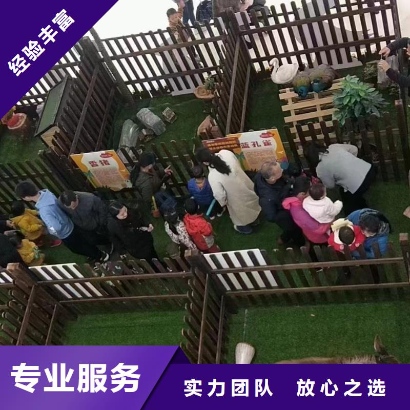 哪有出租羊驼的图片案例专业品质