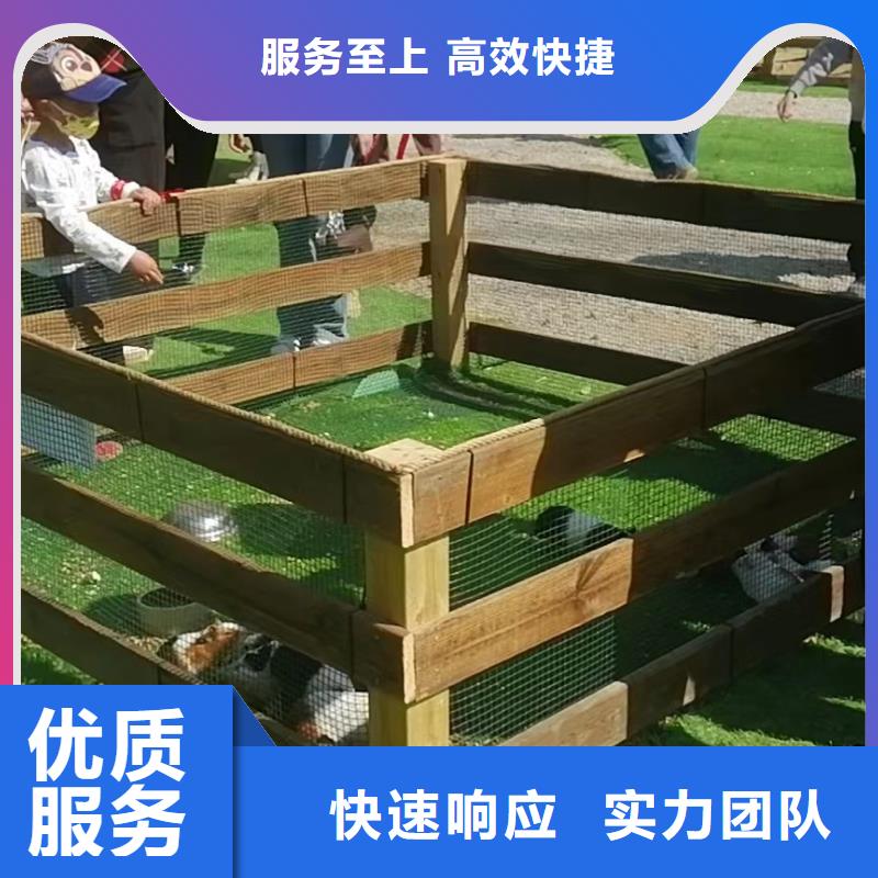 动物表演出租正规