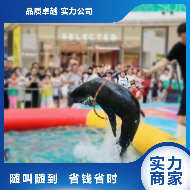 哪有租赁美人鱼表演的资源丰富欢迎合作