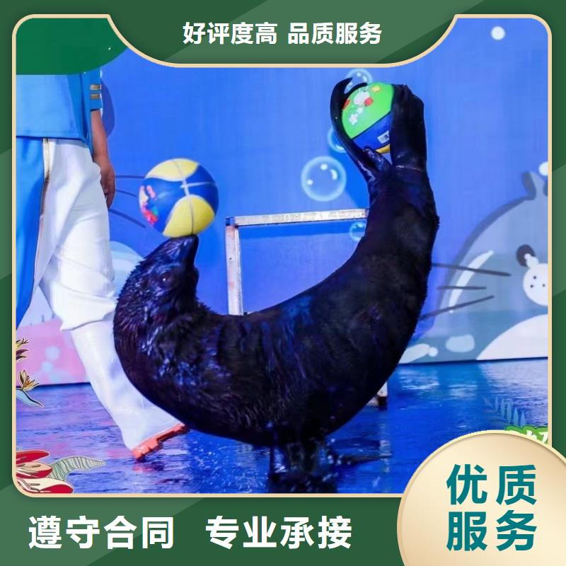 海洋生物展出租活动图片品质好