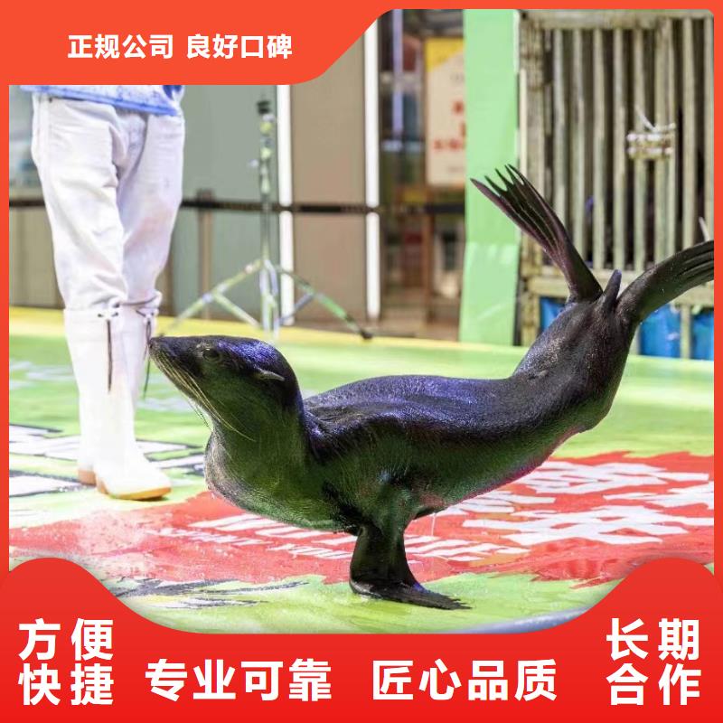 海洋展租赁主题展览价格低于同行