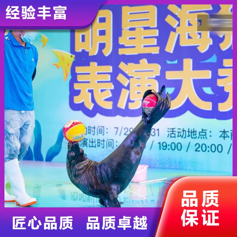 海狮演出租赁本地服务商