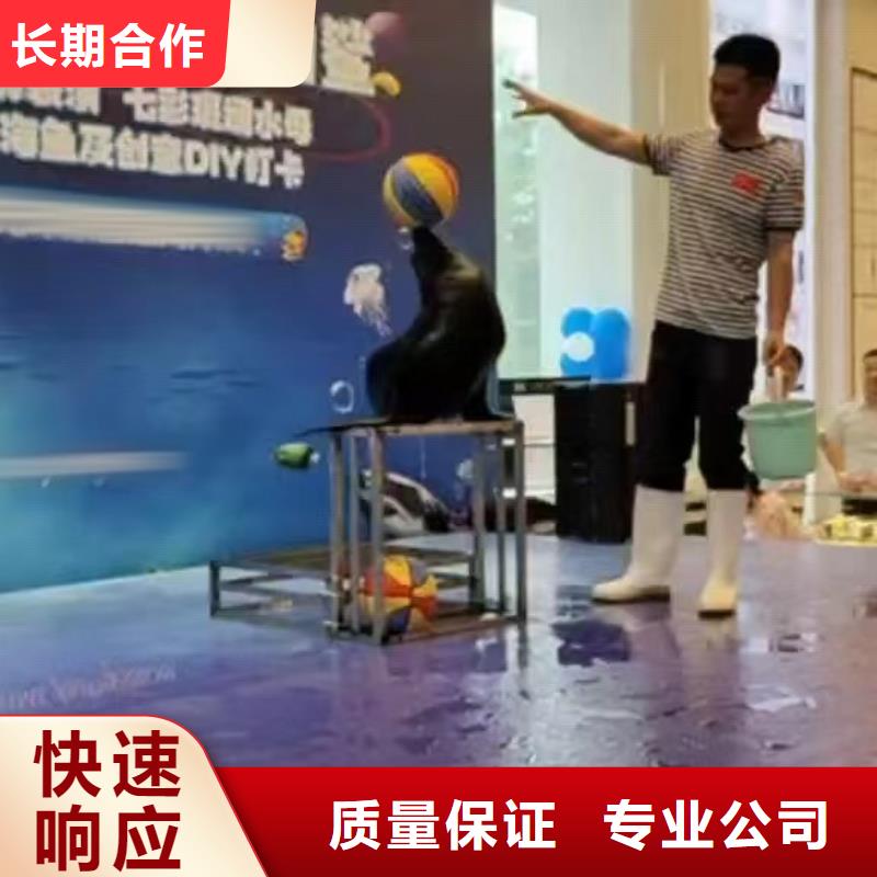 美人鱼表演出租优质商家齐全