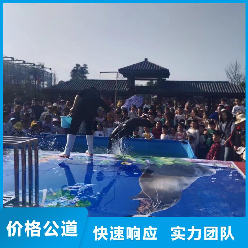 企鹅租赁-实力企业靠谱商家