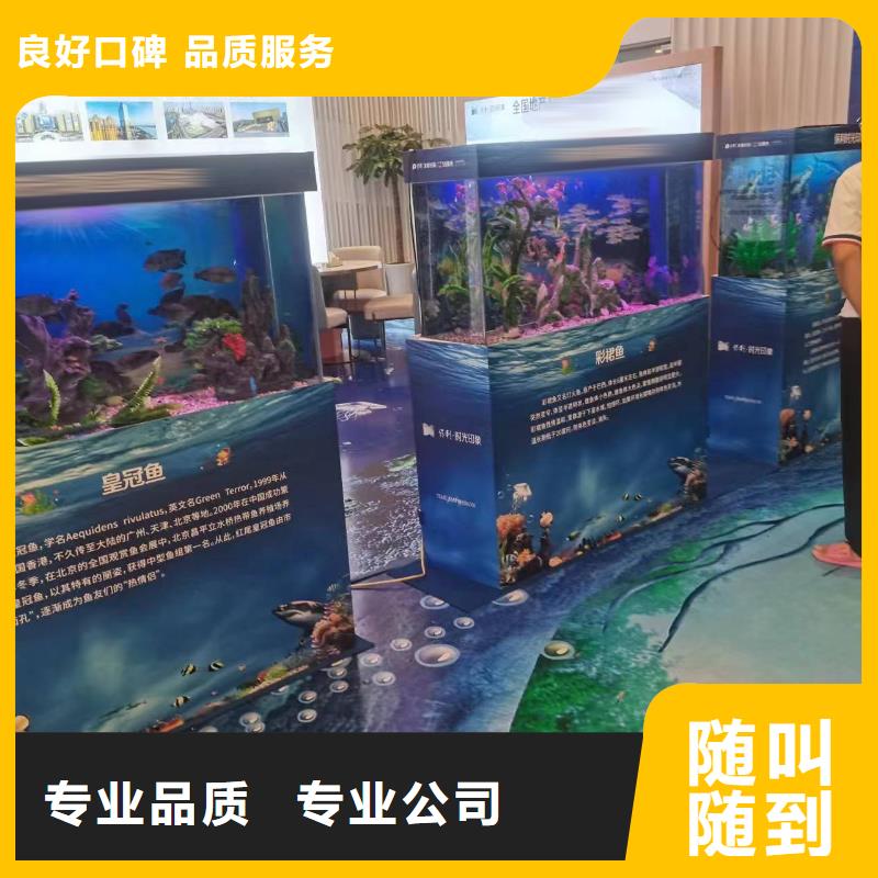 哪有出租鳄鱼表演的创意方案本地生产商