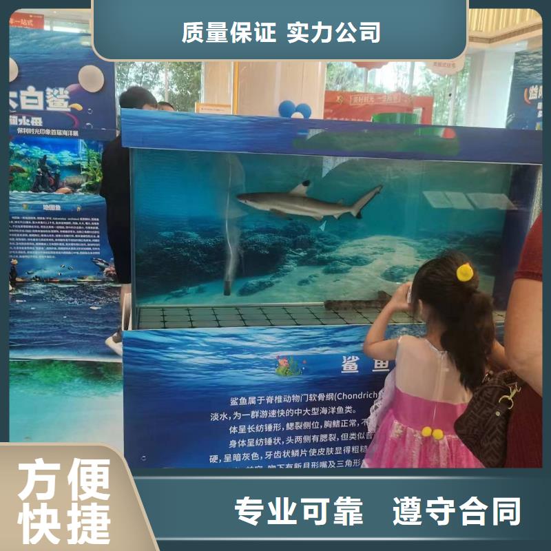 鳄鱼表演出租一手资源案例丰富