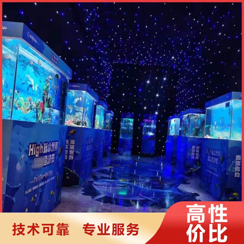 海狮表演出租价格优惠解决方案