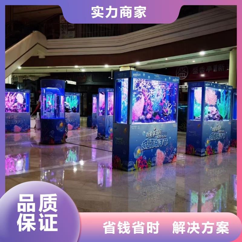 规格齐全的哪有出租海狮表演的经销商团队