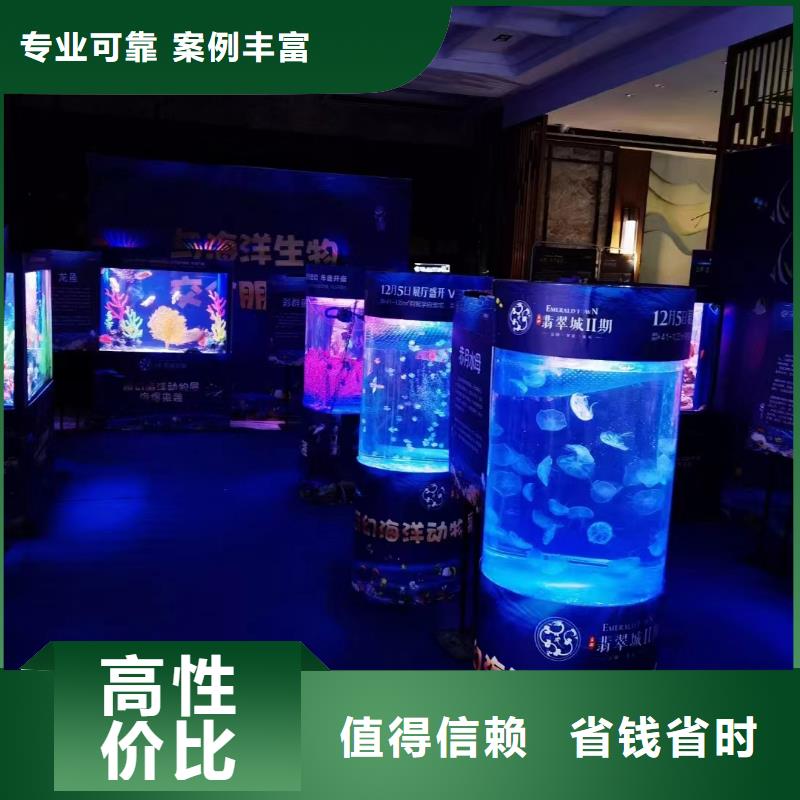 哪有租赁企鹅的实力厂家从业经验丰富