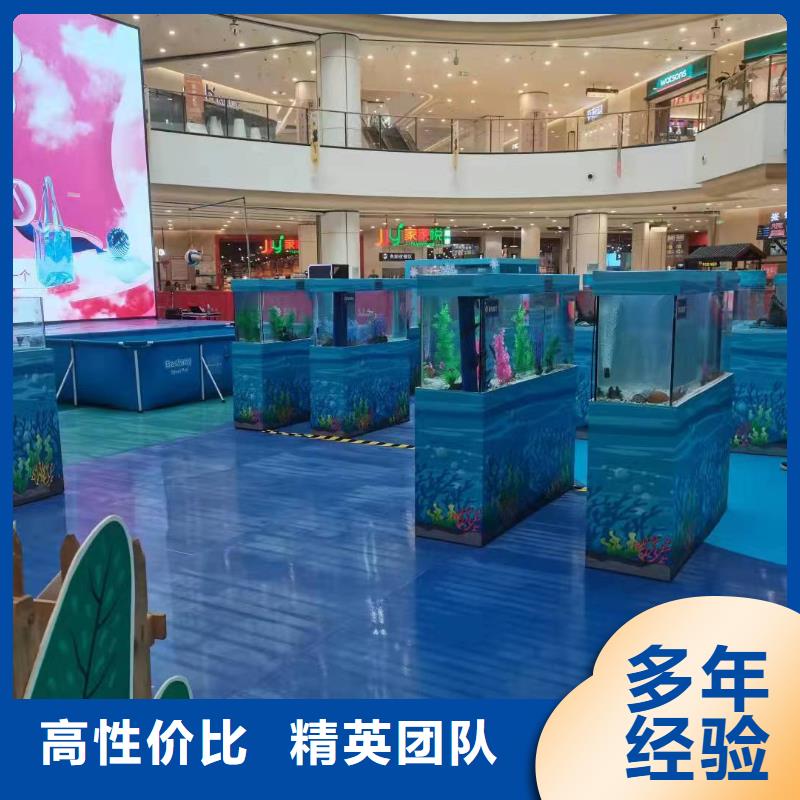 海狮表演出租_海狮表演出租诚信经营