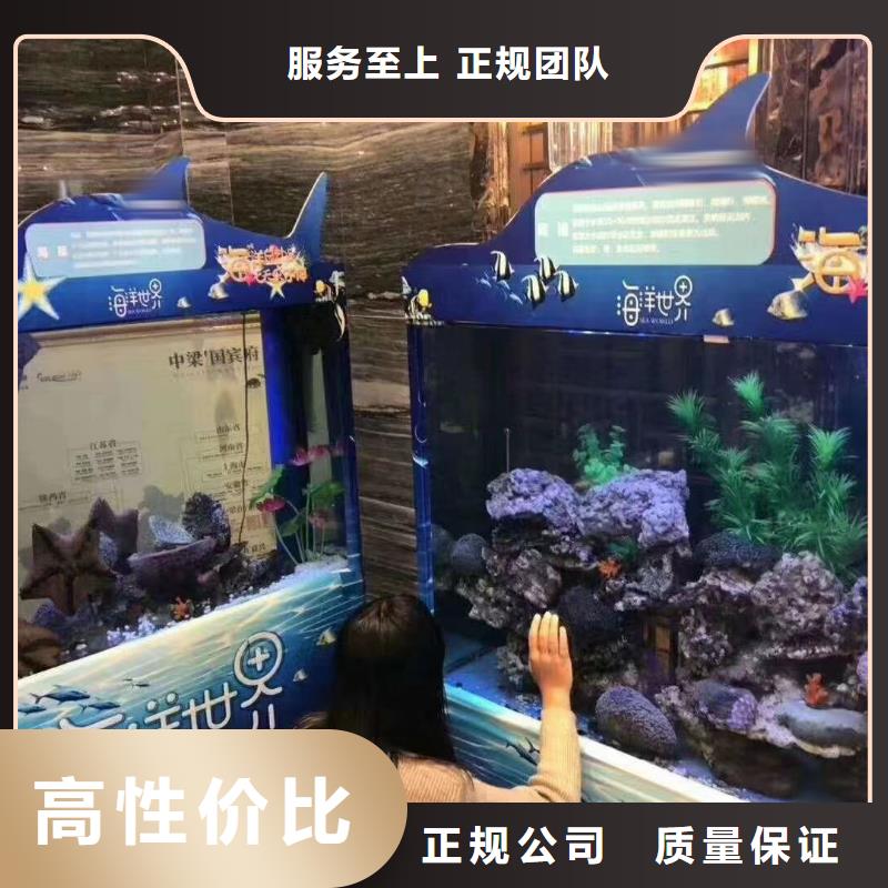 活体企鹅出租丰富多彩同城生产厂家