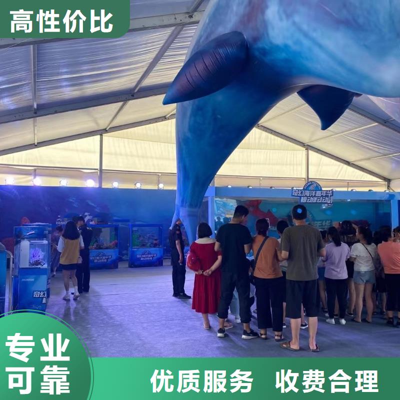 ​海狮表演租赁节日活动同城供应商