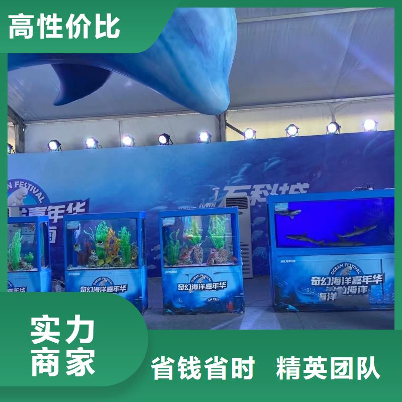 鳄鱼表演出租暖场气氛资质齐全