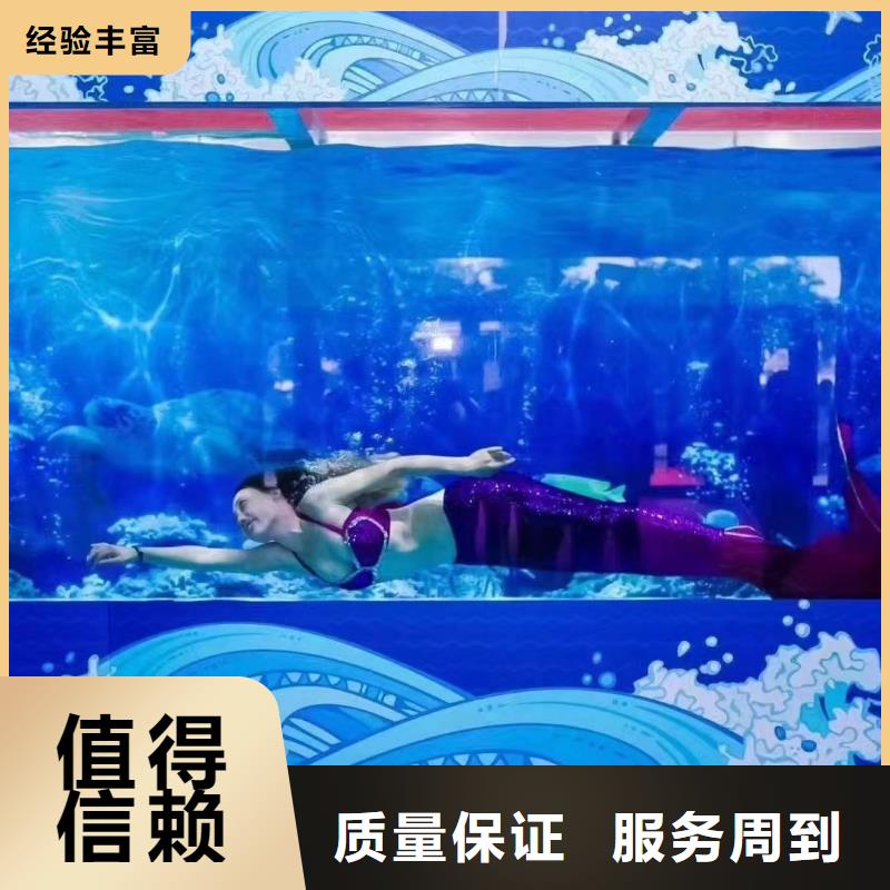 哪里有出租海狮的品质好