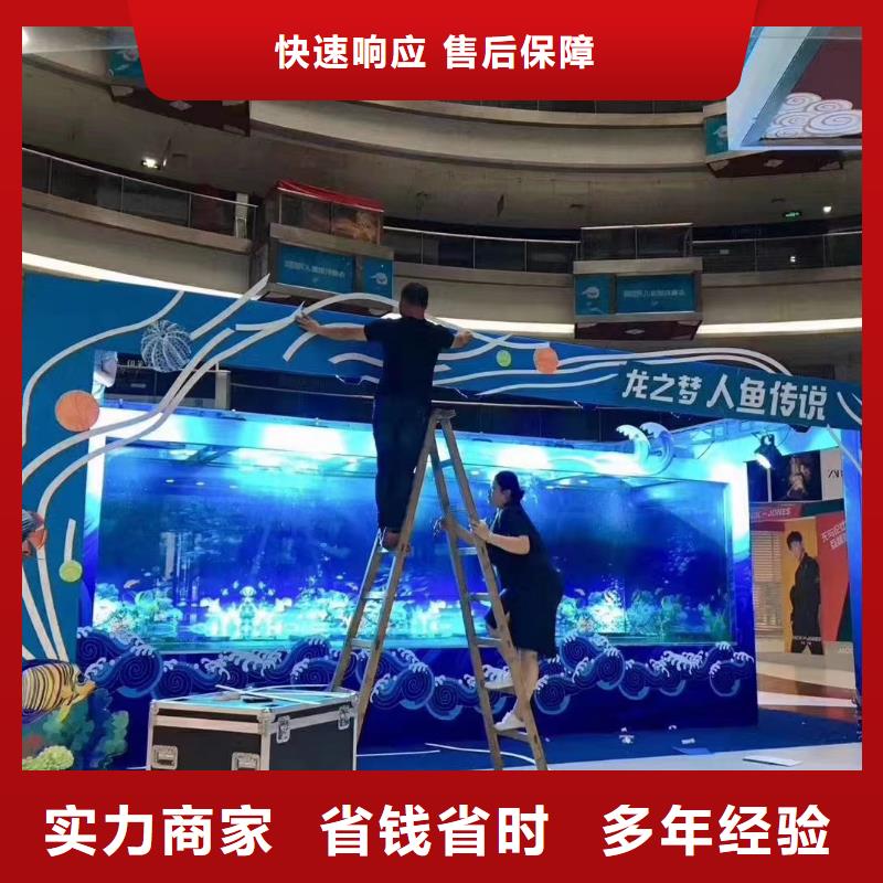 租赁企鹅公司哪里有服务热情