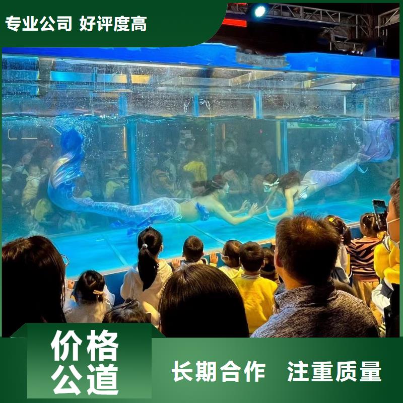美人鱼演出出租本地公司