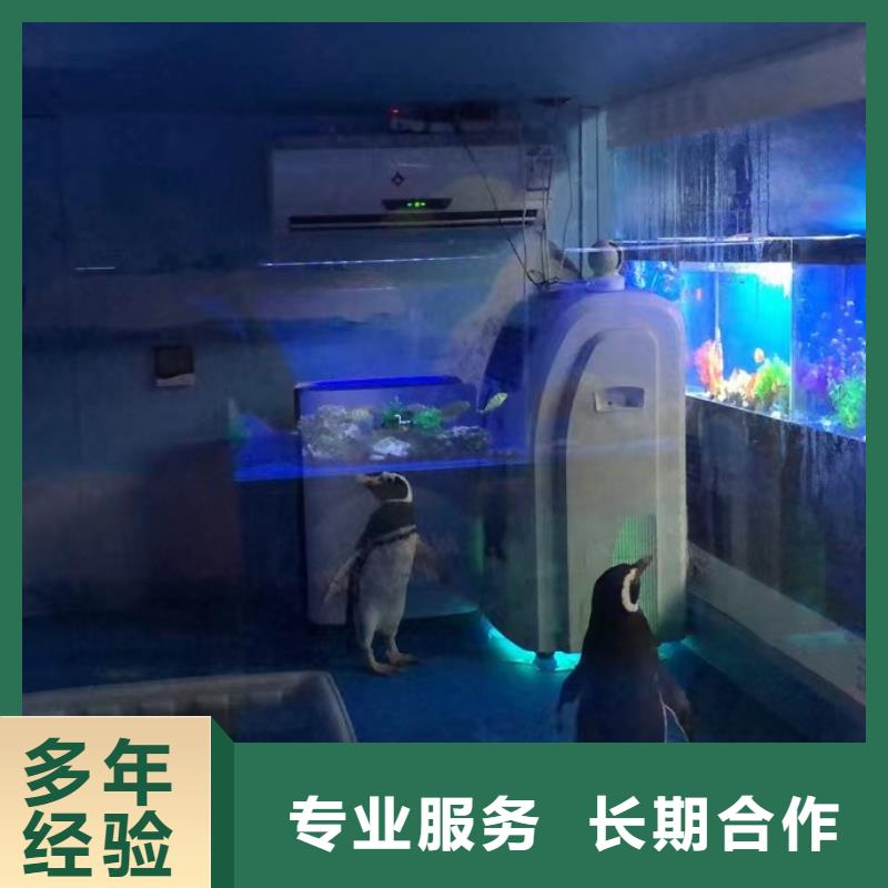 海洋生物展租赁一手资源当地供应商