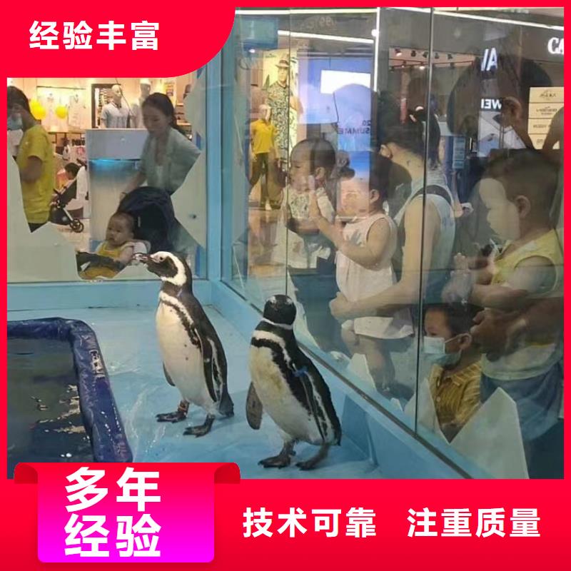 海洋生物展出租实力强本地品牌