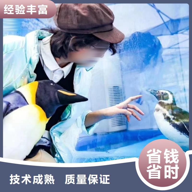 有现货的海洋生物展出租厂家同城品牌