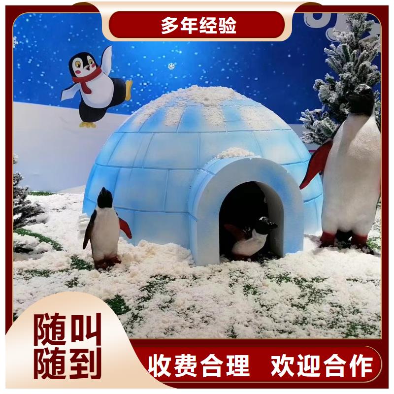 海狮表演出租品种保证解决方案