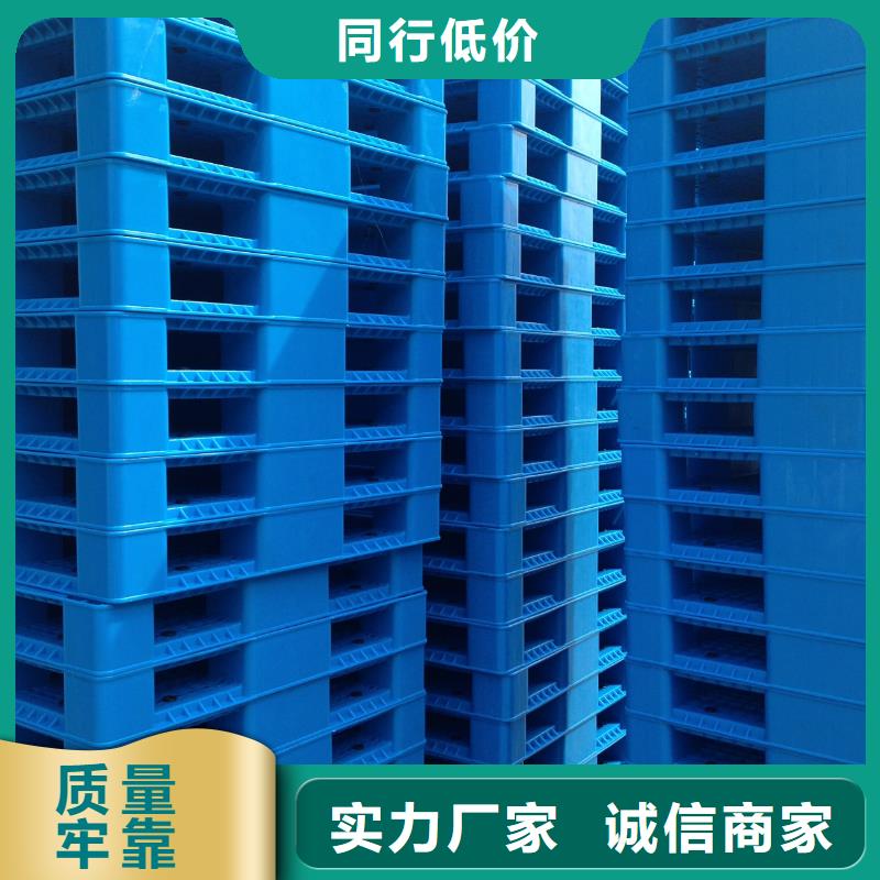 塑料拍子公司信息本地供应商
