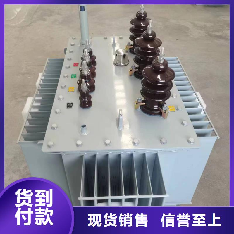 变压器厂家SH15-800KVA10/0.4KV非晶合金油浸式变压器多少钱一台本地品牌