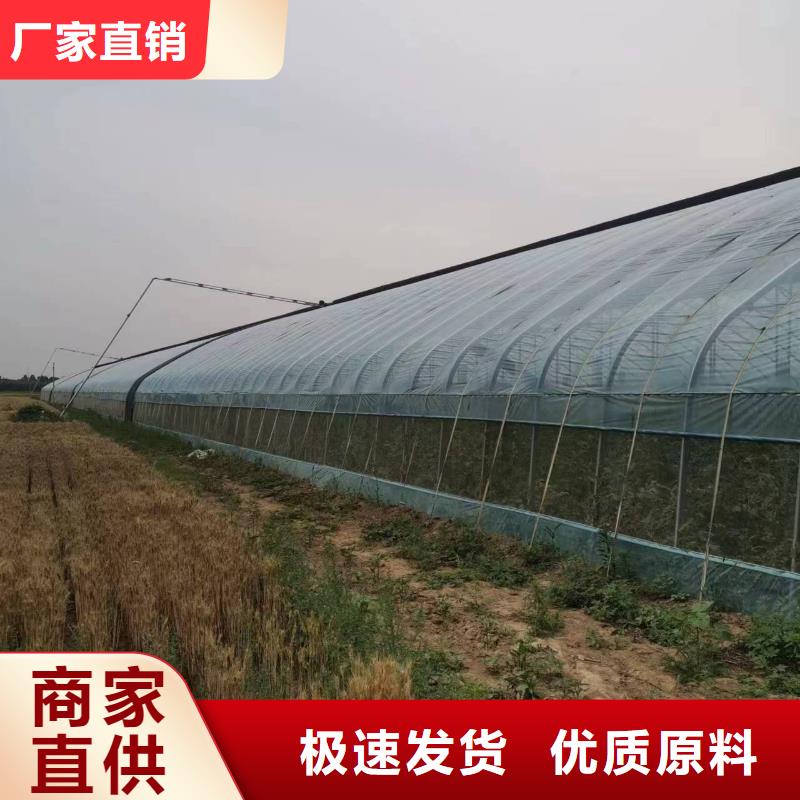 富县葡萄避雨大棚的设计【修饰词匠心制造