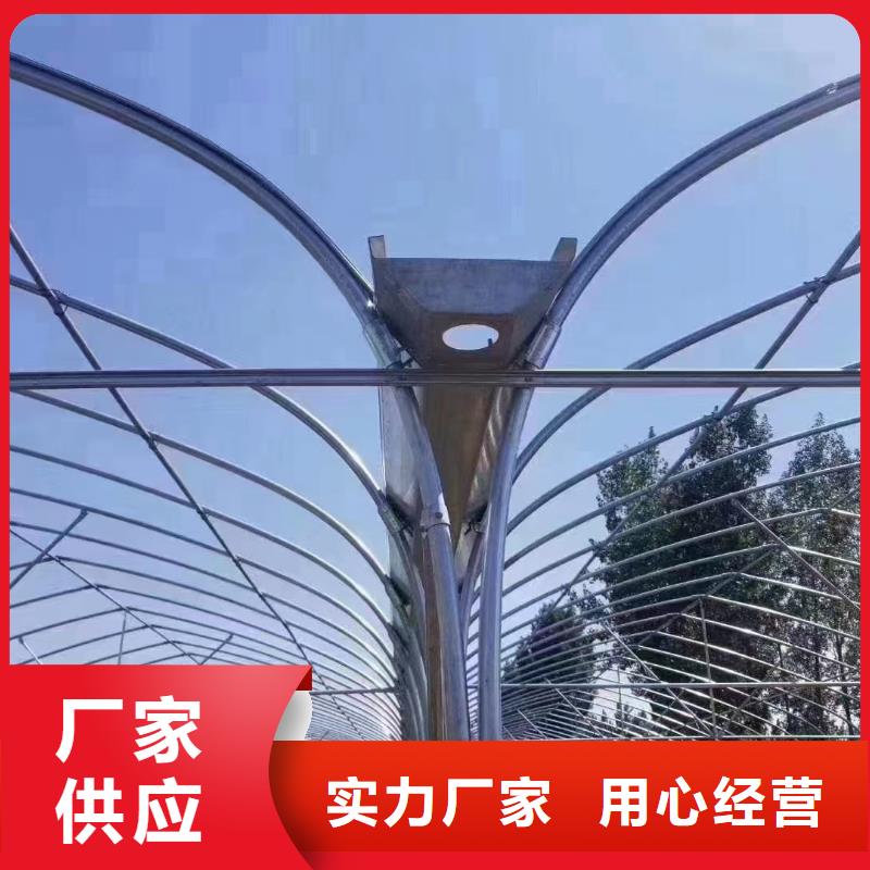 延长县葡萄连体大棚按需定制免费寄样