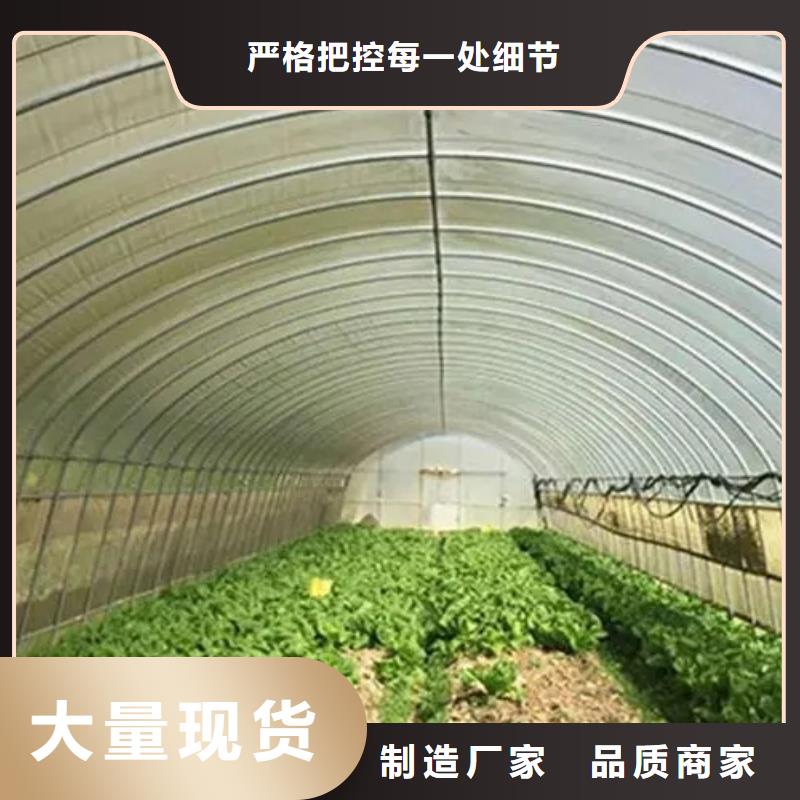 吴起县花卉育苗大棚GLP8432【修饰词保质保量