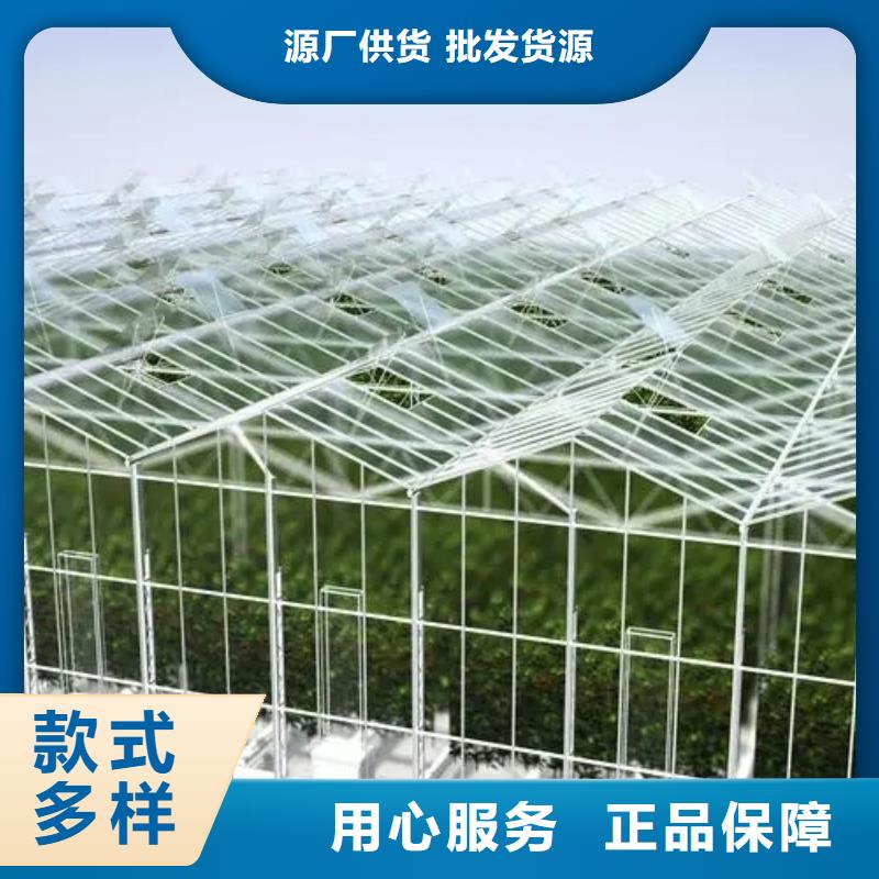 子长县葡萄连体大棚源头厂家型号齐全