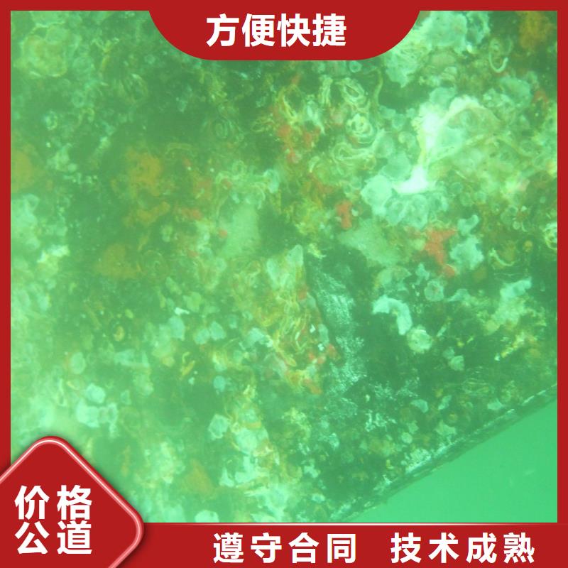 水下拍照欢迎来电多年行业经验