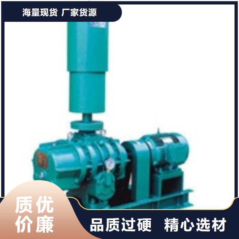 2025罗茨鼓风机LFSR300同城供应商