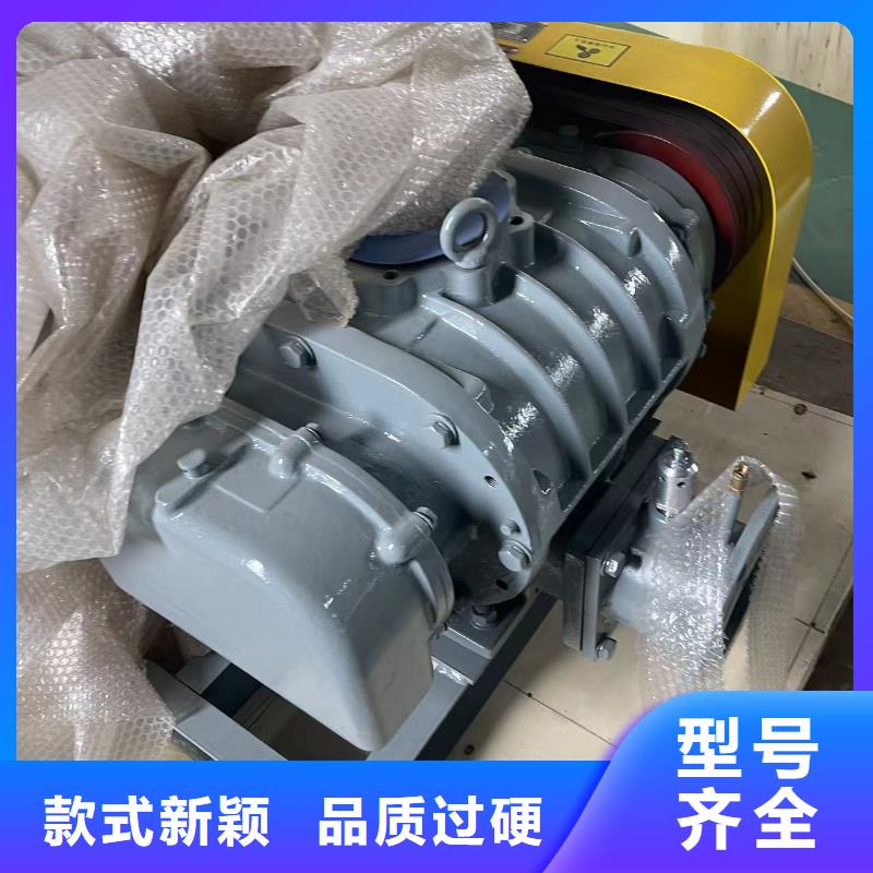 2025罗茨鼓风机LFSR250经久耐用